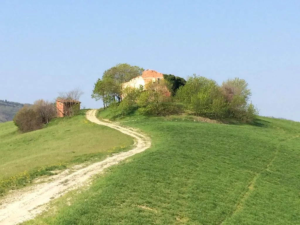 Fondo Riso Bed & Breakfast Faenza 3*,